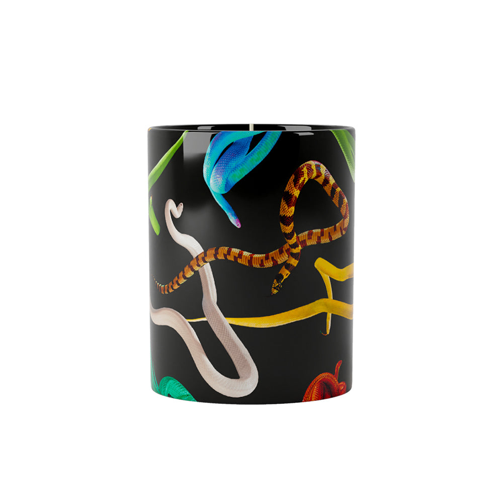 CANDELA | SNAKES