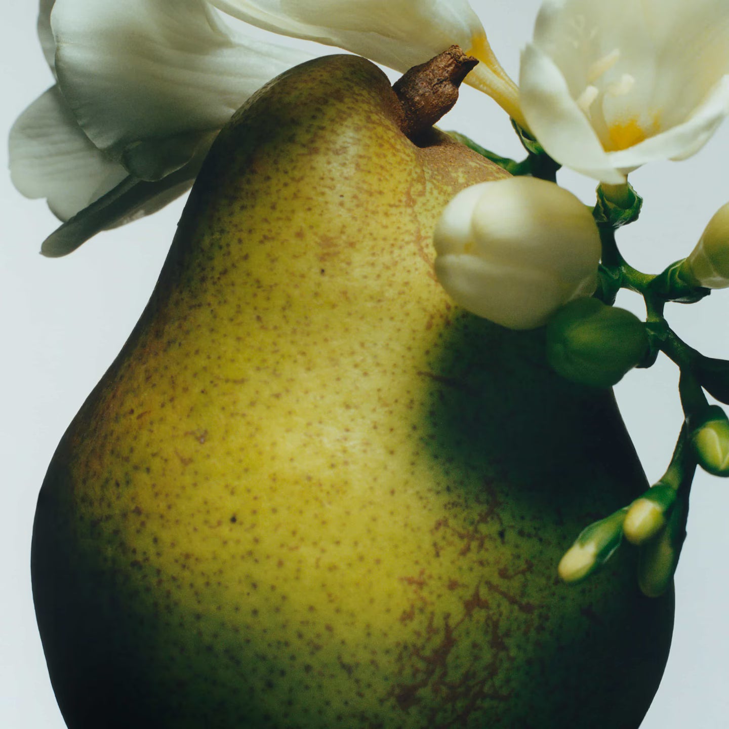 Crema Corpo | English Pear & Freesia