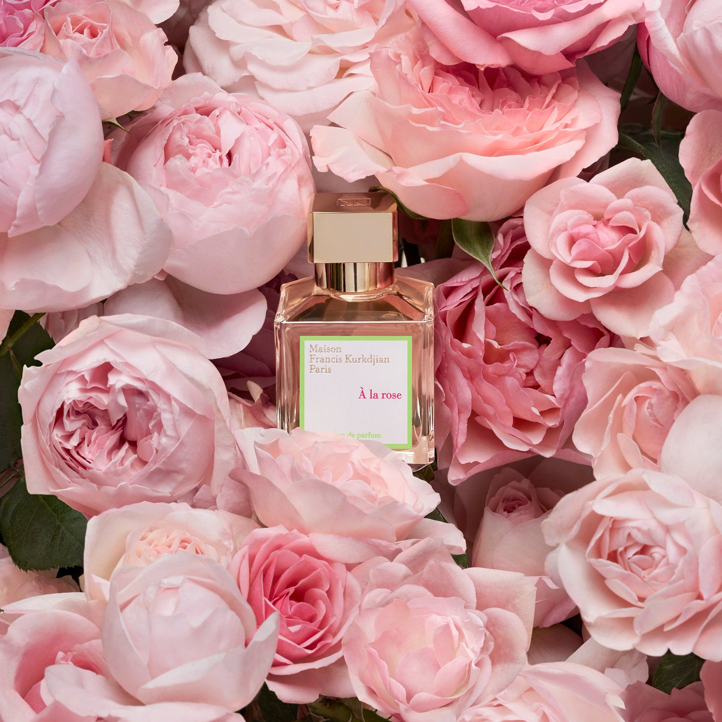 A LA ROSE