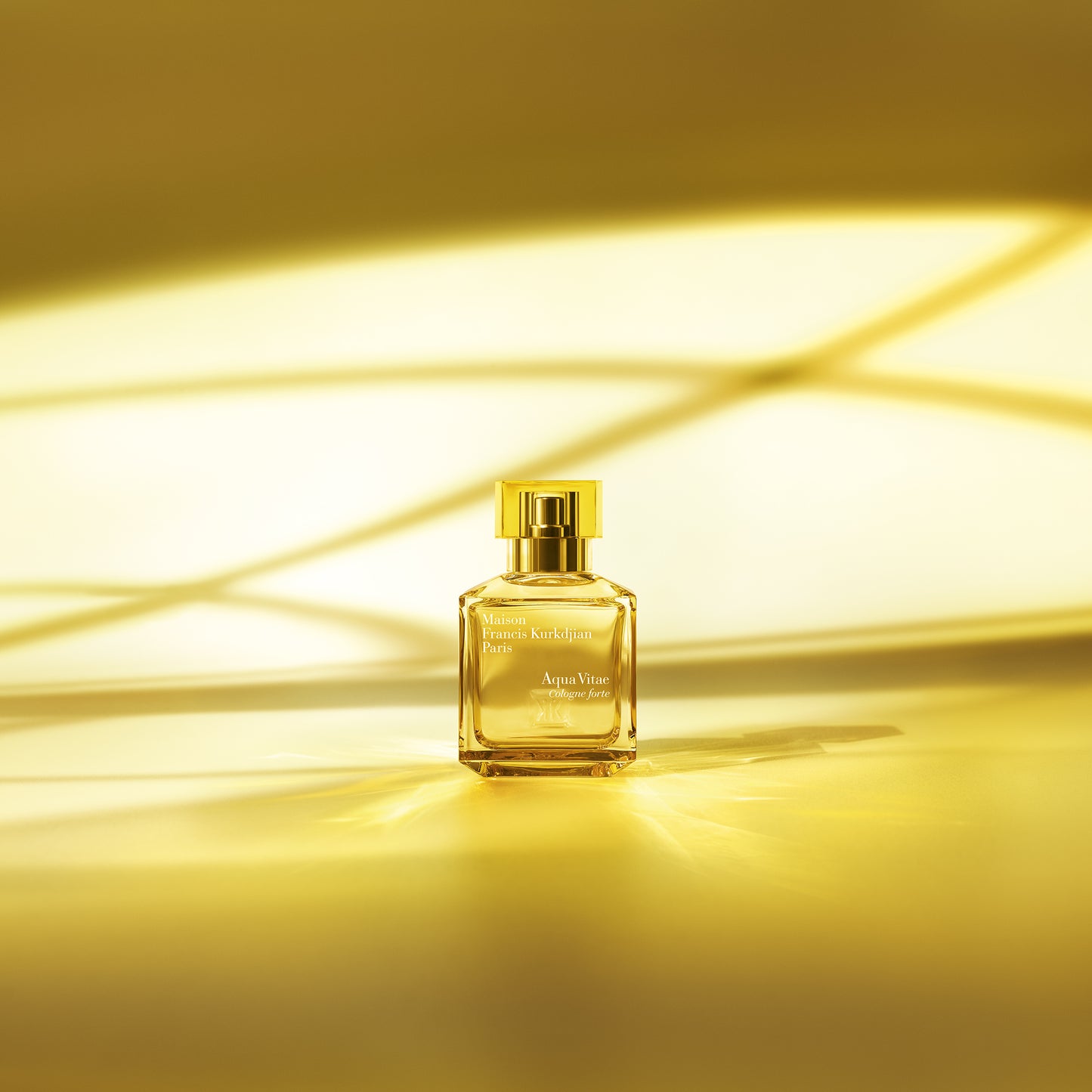 AQUA VITAE COLOGNE FORTE