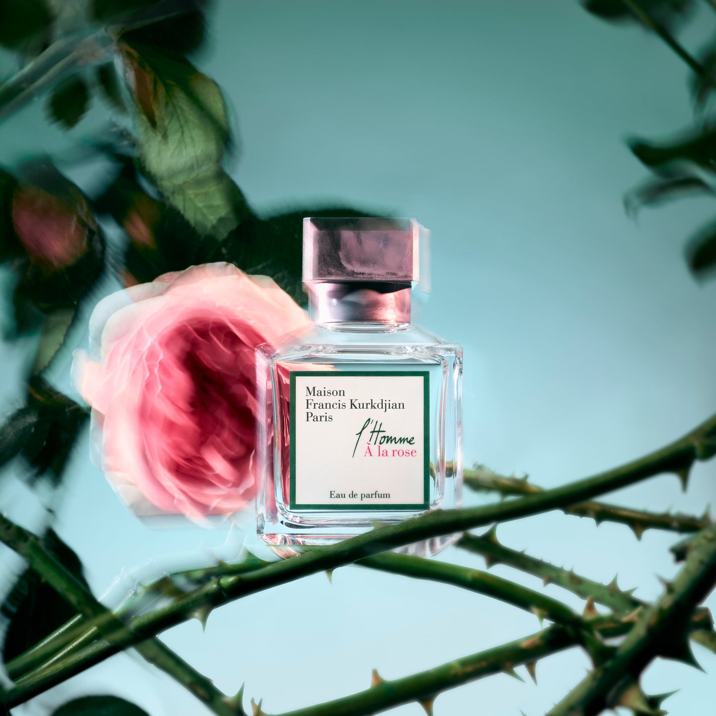 L' HOMME A LA ROSE