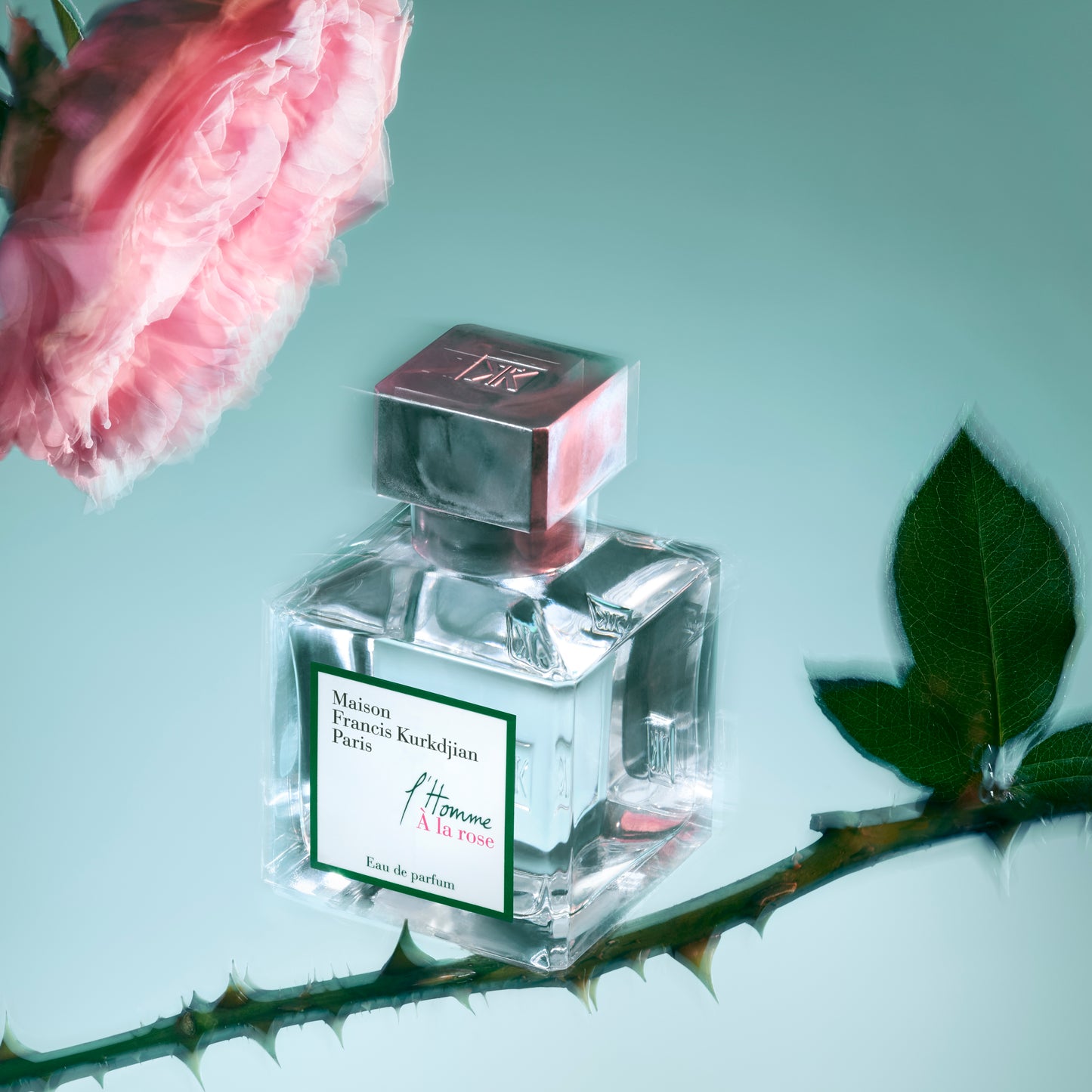 L' HOMME A LA ROSE
