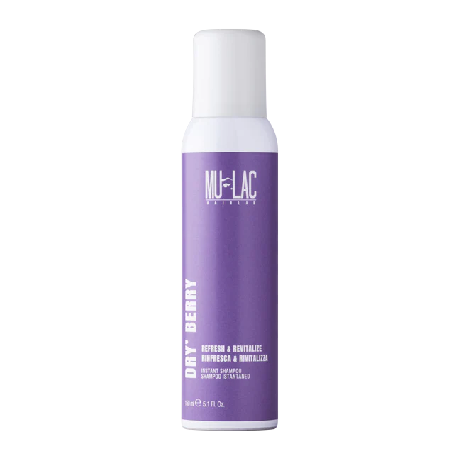 DRY'BERRY 10 SHAMPOO SECCO