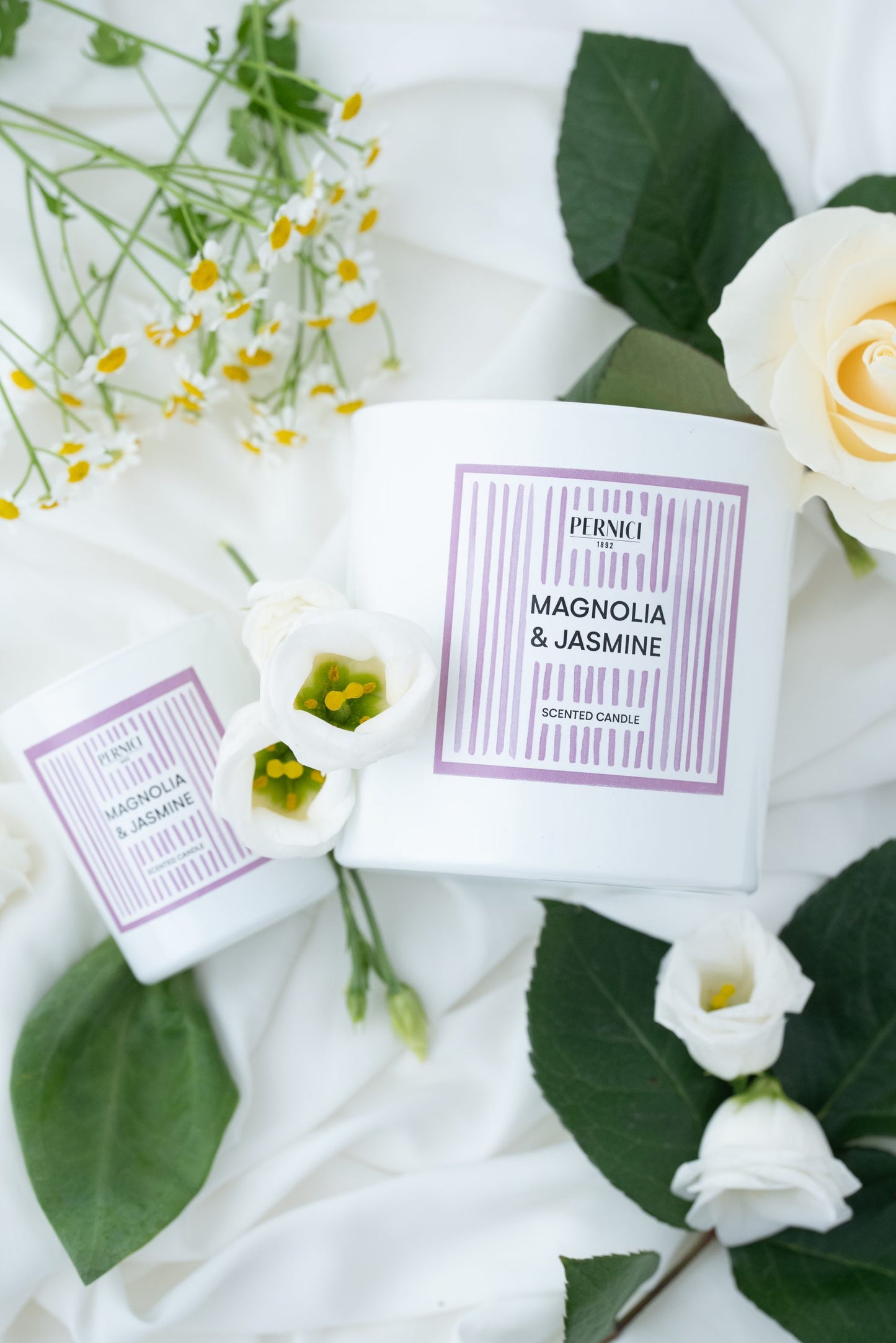 MAGNOLIA & JASMINE