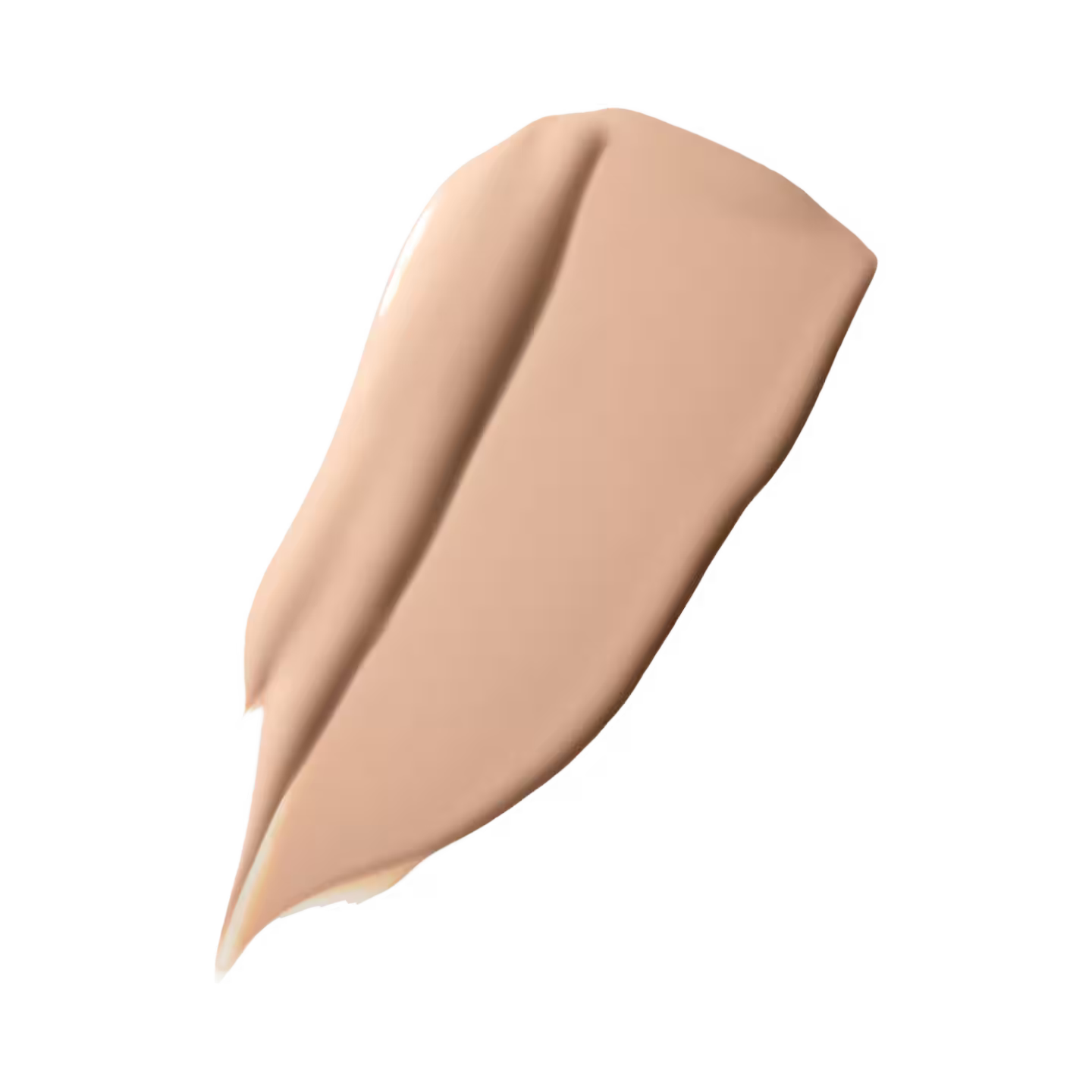 PRO LONGWEAR CONCEALER