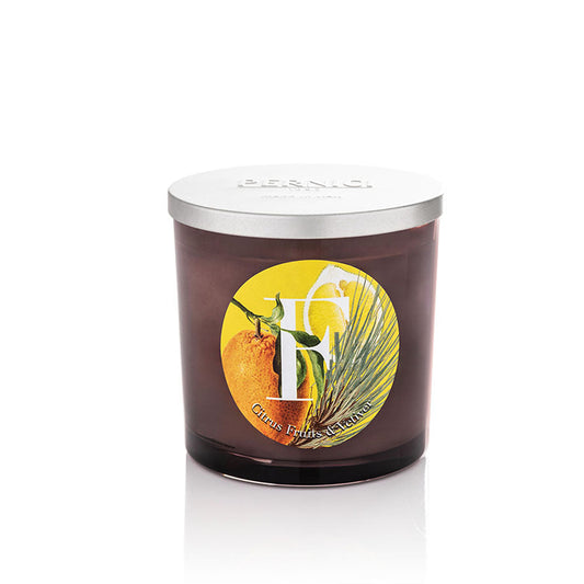 CITRUS FRUIT & VETIVER