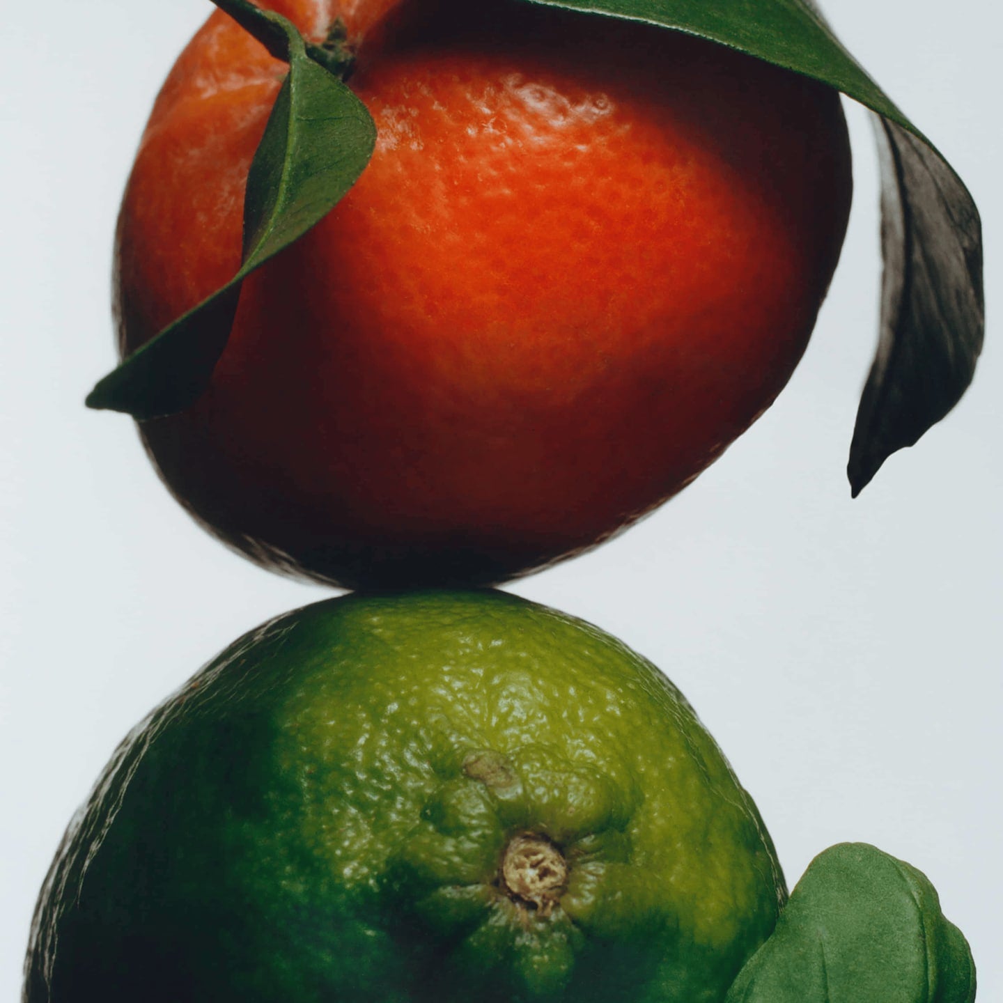 Hand  & Body Wash | Lime Basil & Mandarin