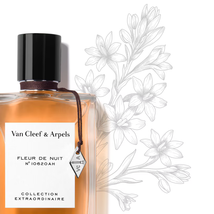 FLEUR DE NUIT