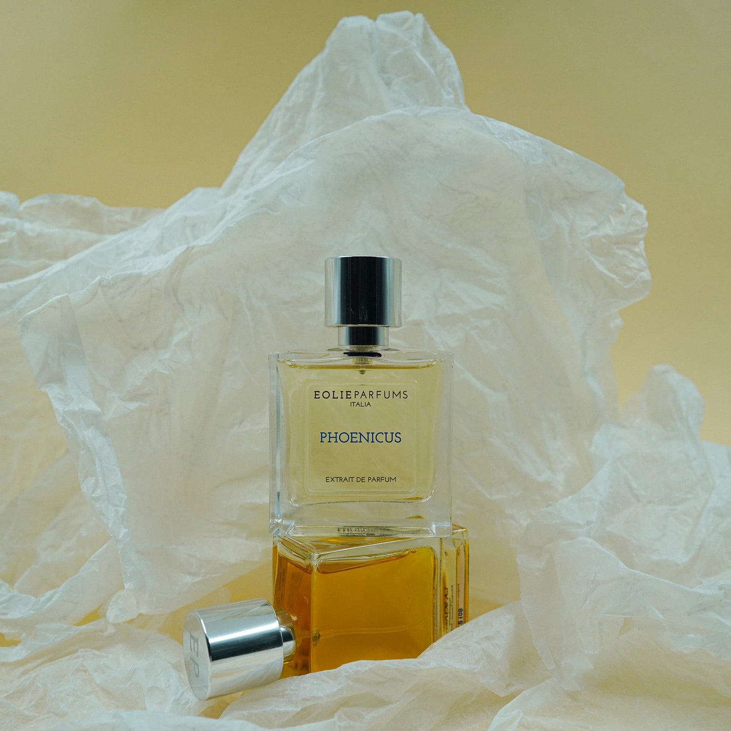 PHOENICUS